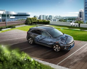 204030-53_rgb_300dpi